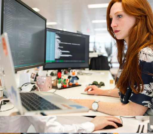 Web Design  Services